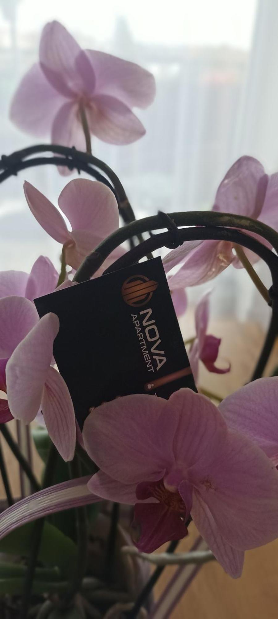 Nova Apartment Sanok Luaran gambar